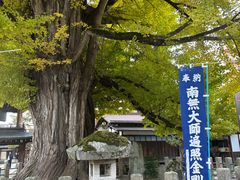 -医王山·飞騨国分寺