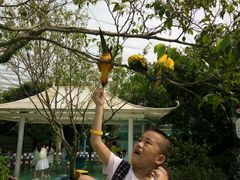-广州花之恋城堡酒店