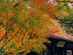 -中国茶叶博物馆(双峰馆区)