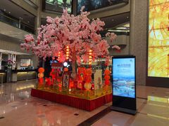 -银星皇冠假日酒店美食阁