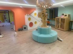 -Bastet sally猫舍购宠(静安店)
