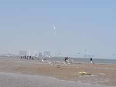 -东戴河风景区-止锚湾