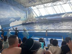 -秦皇岛乐岛海洋王国