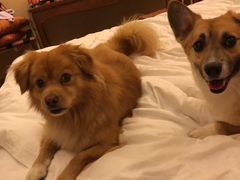 -太阳岛度假酒店