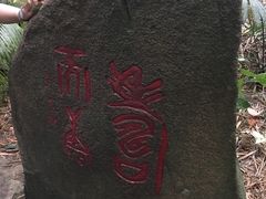 -呀诺达热带雨林
