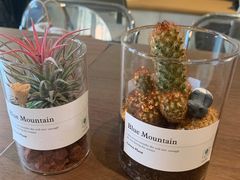 -Fridi Patisserie Cafe