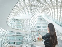 -凤凰中心