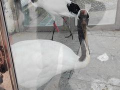 -哈尔滨北方森林动物园