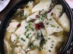 酸菜鱼片-协和菜馆(凤凰街店)