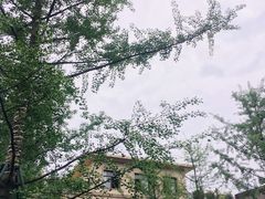 -月圆霖特色农家乐