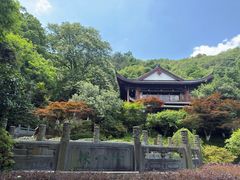 -十八棵（老龙井）御茶园(老龙井店)