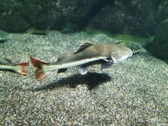 -太平洋海底世界