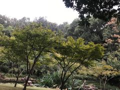 -杭州黄龙洞