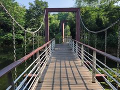 -天鹅湖体育公园