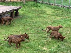 -南京金牛湖风景区