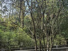 -滴水洞景区