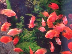 -常州海昌海洋探索馆