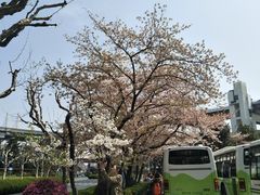 -上海南浦大桥长途旅游客运站