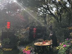 -山外山菜馆(玉泉路店)