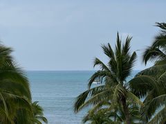 -日落吧·海景咖啡厅·餐酒吧·鸡尾酒·下午茶·乐队表演·浪漫夕阳·三亚文华东方酒店