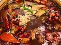 -阿三鱼头泡饼·家常菜