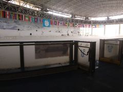-世界之窗阿尔卑斯冰雪世界