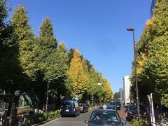 -维乐口腔医院(福清院)