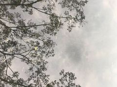 -晓港公园