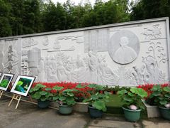 -陈家山荷花公园