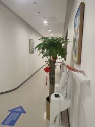 -丰联丽格医疗美容·联合丽格眼整形中心