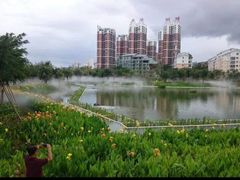 -金鸡岭桥头公园