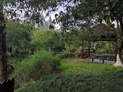 -杭州花家山庄