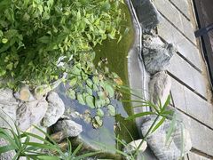 -蘇河湾·新鲁菜·泰山宴(泰山店)