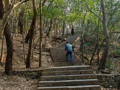 -紫金山山顶公园