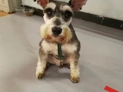 -拳盛时代拳击俱乐部(北京路店)