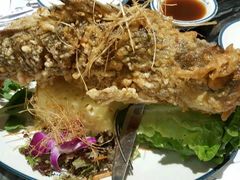 -美奈小馆·越南料理(福田星河COCO Park店)
