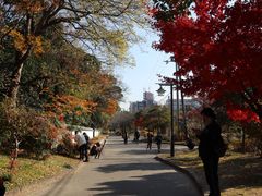 -天王寺公园