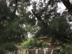 -北海金海湾红树林生态旅游区