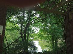 -黄陂区野村谷景区