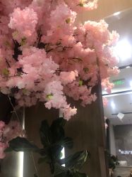 -IN STYLE·全国形象店