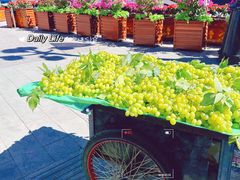 -新疆国际大巴扎