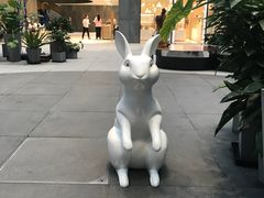 -奈雪的茶(skp店)