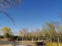 -东郊湿地公园