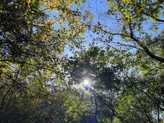 -东钱湖旅游度假区