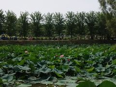 -沈阳森林动物园