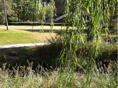 梦清园-苏州河梦清园环保主题公园