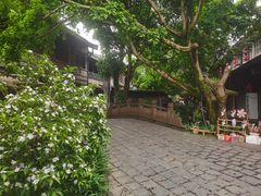 -安仁古镇
