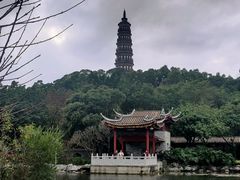 -顺峰山公园