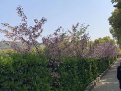 -无锡市乌鹤山公墓办事处