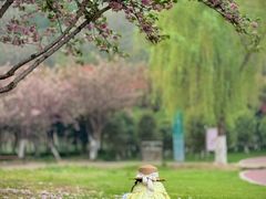 -太子山公园(园东路)